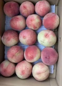 山梨のもも(3kg以上)かためのサムネイル