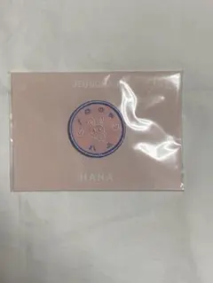 2025年最新】ディノ ワッペン seventeenの人気アイテム - メルカリ