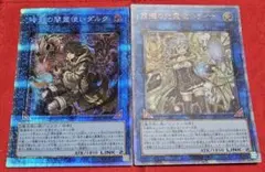 光霊使いライナ 地霊使いアウス 決闘者の王国 DK01 シークレット