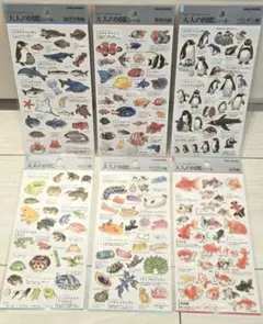 大人の図鑑シール 海洋生物、ペンギン、熱帯魚、カエル、ウミウシ、金魚 6枚セット