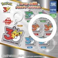 【 未使用 】ポケモン30周年メタルチャームマスコット