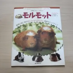 モルモット 小動物ビギナーズガイド 飼育の前に絶対知らなければならない情報 本