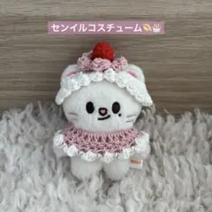 2026年最新】10cm ぬい 服 skzooの人気アイテム - メルカリ
