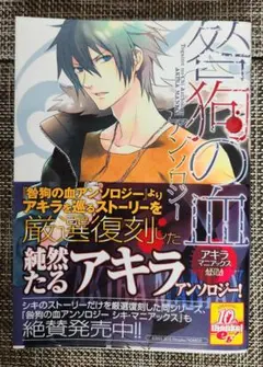 Item thumbnail for item 57de5d78-b3f6-443a-bfc5-56cbce684fd7