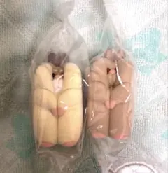 ロボロフスキーハムスター　 ゴールデン すきまハムスター
