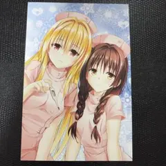 ToLOVEる ダークネス 結城美柑 ヤミ ポストカード とらぶる ジャンプ
