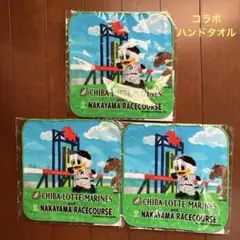 千葉ロッテマリーンズ✖️JRA中山競馬場 コラボミニタオル 3枚セット
