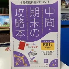 Item thumbnail for item ba4c21b8-aa48-48b0-bbdb-79a4a97f244a