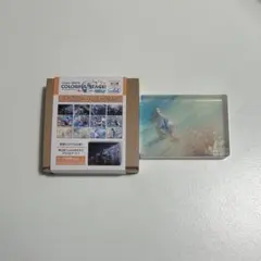 プロセカ ノーブルアートvol.64 草薙寧々