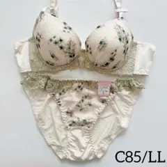 【30%off】10505GR C85/LL 上下セット グリーン 脇高ブラのサムネイル
