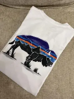Patagonia Responsibili-Tee Tシャツ XS