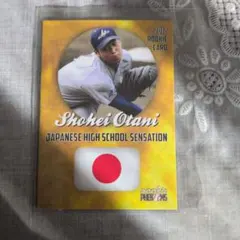 Item thumbnail for item 80d819d4-84f1-4875-b5c9-a1b7378108d9