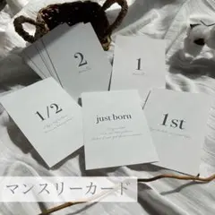 Item thumbnail for item 3e00ef18-a37a-4f42-9c5a-9c5e30d61e77