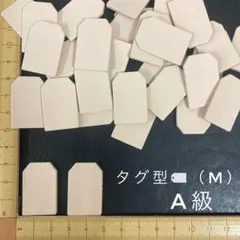 Item thumbnail for item 2edbb15d-5d24-48e1-bf22-1261f6a05897