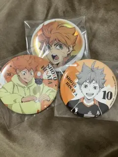 ハイキュー‼︎烏野高校 日向翔陽　缶バッジセット