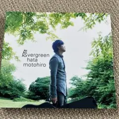 evergreen