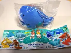 サメ カプセルトイ