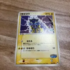 美品 ライコウ　ポケパーク　プレミアムファイル ブルーシート 005/009 ライコウ ポケパークプレミアムファイル 005/009 - メルカリ