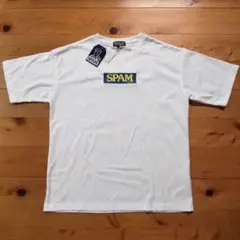 沖縄 スパム