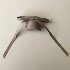 【新品未使用品】ヘアアクセサリー　ポニーフック