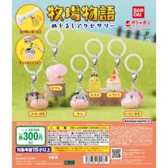 めじるしアクセサリー　牧場物語　4種セット