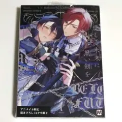 愛しき未来に黒い剣を 柊木メイ アクスタ アクリルスタンド 特典