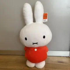 Item thumbnail for item 3ab881d3-23af-41e0-9cc1-ce7f30d09e05