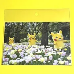 Armin様 リクエスト 10点 まとめ商品