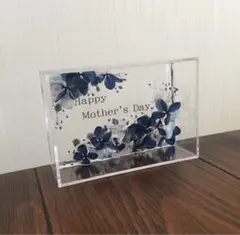 【riiii♡様専用】ハーバリウムプレート