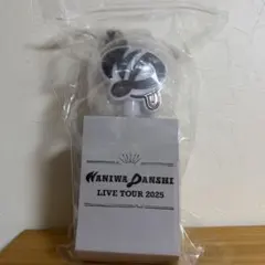 2本　ペンライト　なにわ男子　2026 VoyAGE 1stDOME 2本 ペンライト なにわ男子 2026 VoyAGE 1stDOME - メルカリ