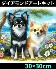 30×30cm 仲良しのチワワ　ダイヤモンドアート　キット