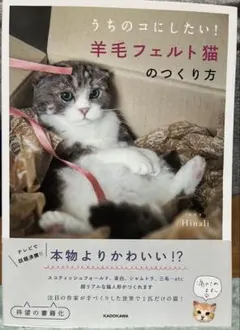 うちのコにしたい！羊毛フェルト猫のつくり方 Hinali