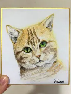 茶トラの鉛筆画　ねこ