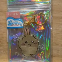 ちいかわ ぷっくりったいキーホルダー 2点セット（うさぎ・シーサー）のサムネイル