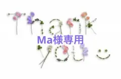 Ma様専用　梅干し5kg