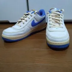 Nike Air Force 1 FJ5440-133