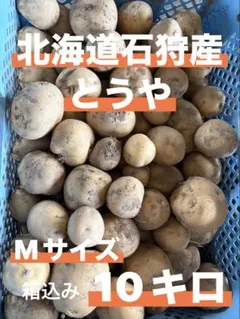 北海道産 とうや規格外品20キロ - メルカリ