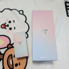 SEVENTEEN ペンライト ver.3セット