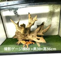 Item thumbnail for item 8ef3161e-9eea-466b-9c2f-663e28a364be