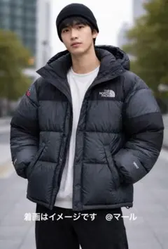 THE NORTH FACE バルトロライトダウンジャケット　サミットシリーズ