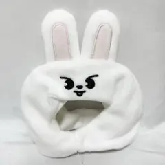 StrayKids リノ SKZOO Leebit ペンライトカバー VER.2 Stray Kids Leebit リノ ペンライトカバー Ver.2 StrayKids リノ