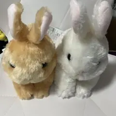 ネザーランドドワーフ タイトー限定 うさぎ ウサギ ぬいぐるみ