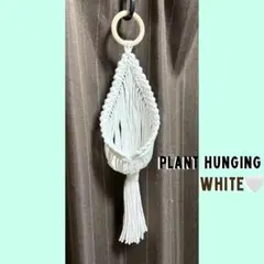 Item thumbnail for item 7f5a3beb-64f8-4527-8ba3-9708d33d4e1e