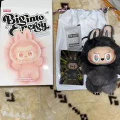 2025年最新】LABUBUシークレットの人気アイテム - メルカリ