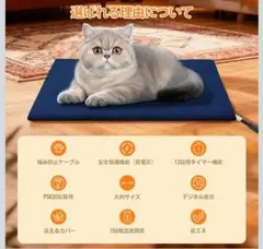 Item thumbnail for item be598bd1-bdb9-442e-a5e3-e7cf8f1ef9ad