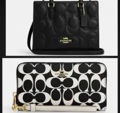 お値段交渉可COACH ショルダーバッグと財布 セット