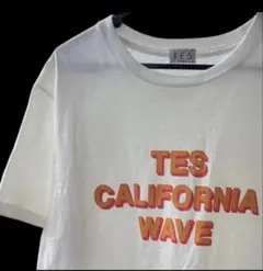 TES エンドレスサマー Tシャツ L 白 カリフォルニア サーフ 日本製⁠のサムネイル