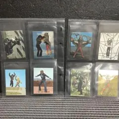 カルビー旧仮面ライダーカード、I