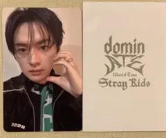 Stray Kids Lee Know 特典カード エコパ