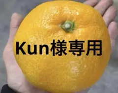 有田みかん　純宝丸　津之輝みかん サイズ混合5㎏入り